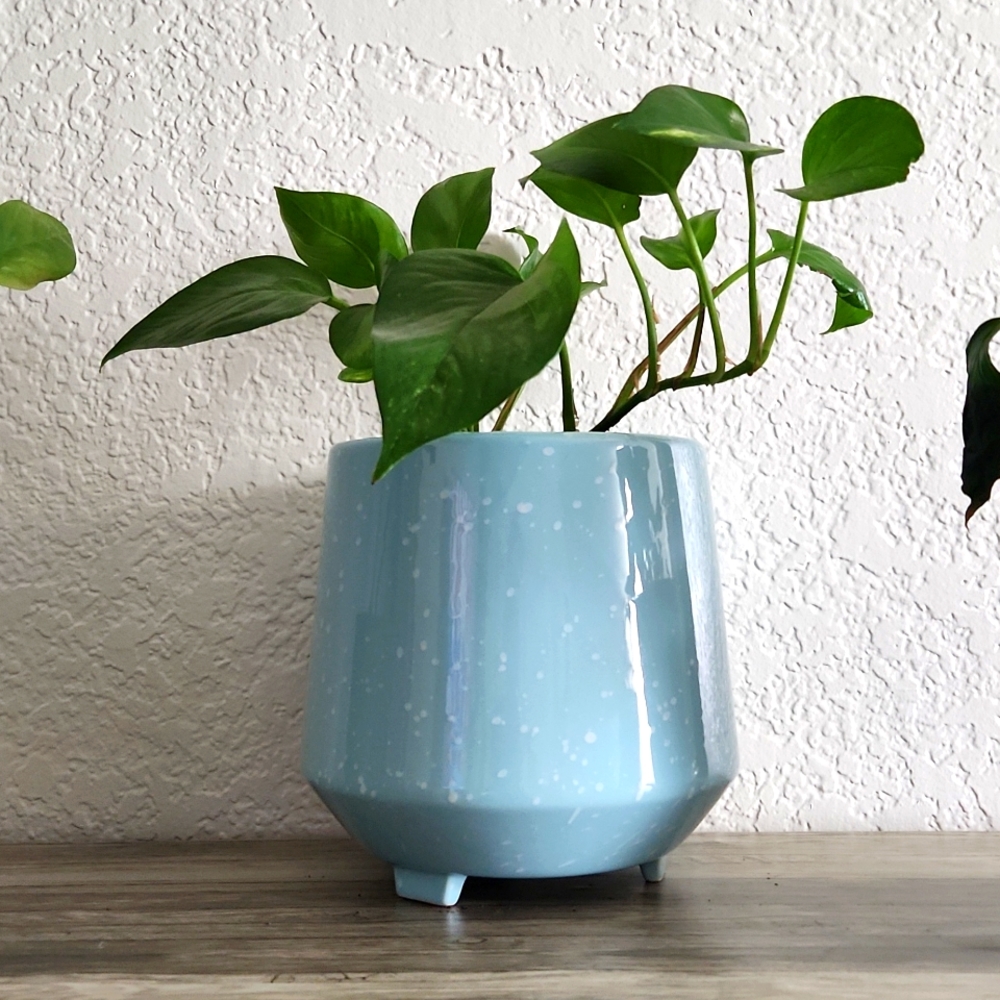 Ceramic planter